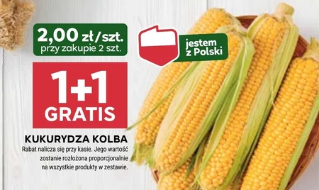 Кукурудза Polski