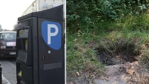 Parkomat w lesie? Nietypowa historia urządzenia