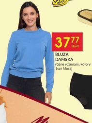 Bluza damska Moraj