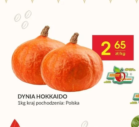 Dynia KK Polska