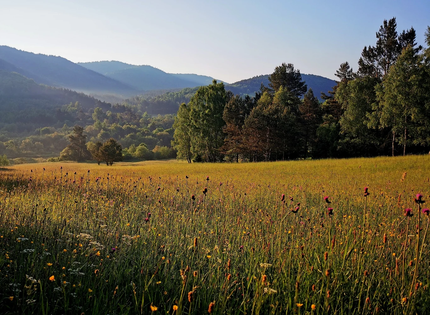 Beskid Niski to miejsce, w którym czas się zatrzymał Beskid Niski