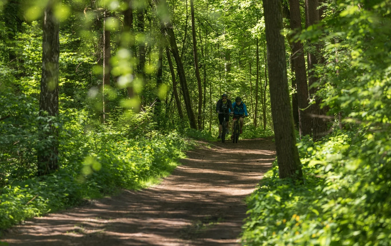 Czy za wjazd rowerem do lasu grozi mandat? Czy za wjazd rowerem do lasu grozi mandat?