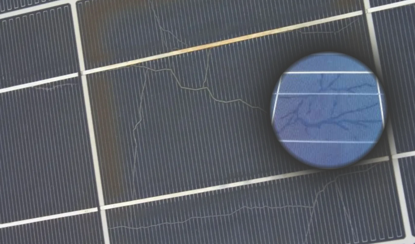 Charakterystyczne linie, które przypominają ślady ślimaka, mogą stanowić sygnał, że z panelami dzieje się coś złego. Charakterystyczne linie, które przypominają ślady ślimaka, mogą stanowić sygnał, że z panelami dzieje się coś złego.