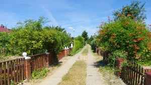 Regulacja o działkach ROD została wykreślona ze specustawy. 