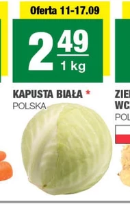 Kapusta biała