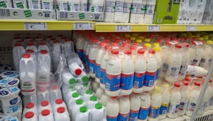 Mleko będzie droższe? Upały obniżyły wydajności krów mlecznych 