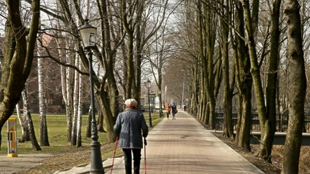 Goczałkowice-Zdrój to urokliwe uzdrowisko leżące na Śląsku. Co warto o nim wiedzieć?