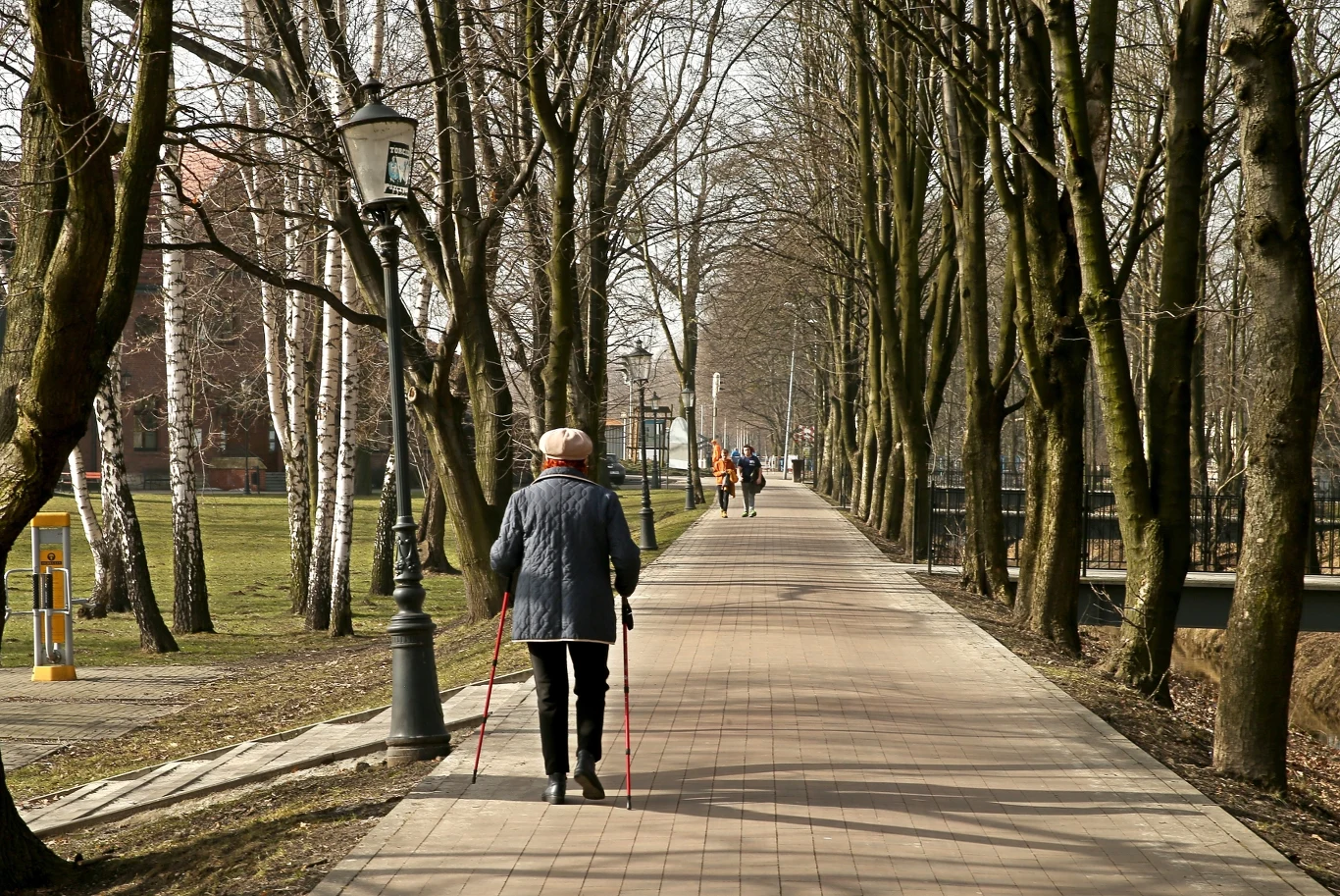 Goczałkowice-Zdrój to urokliwe uzdrowisko leżące na Śląsku. Co warto o nim wiedzieć?