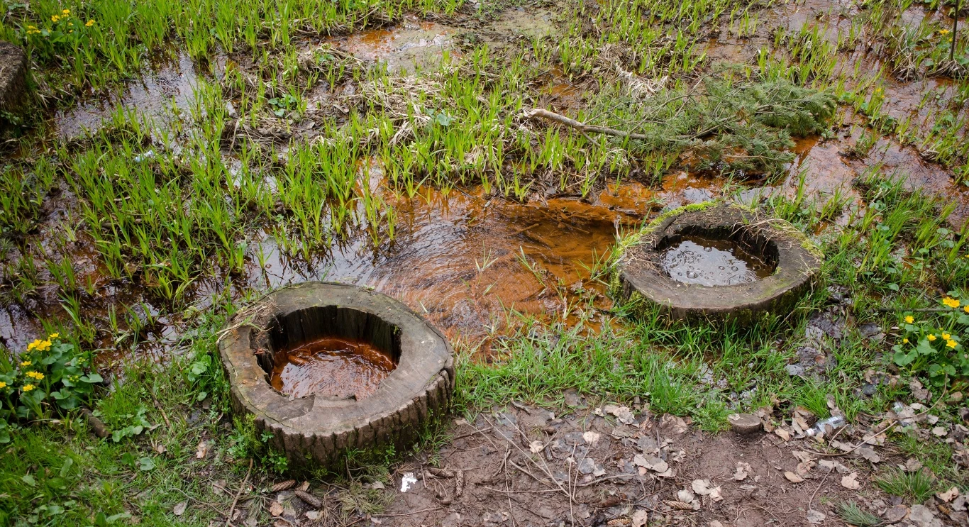 Mofeta to rodzaj ekshalacji wulkanicznej, który można podziwiać również w Polsce, w Beskidzie Sądeckim. Mofeta to rodzaj ekshalacji wulkanicznej, który można podziwiać również w Polsce, w Beskidzie Sądeckim.