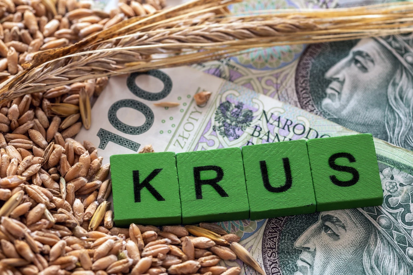Komu przysługuje renta z KRUS? Komu przysługuje renta z KRUS?