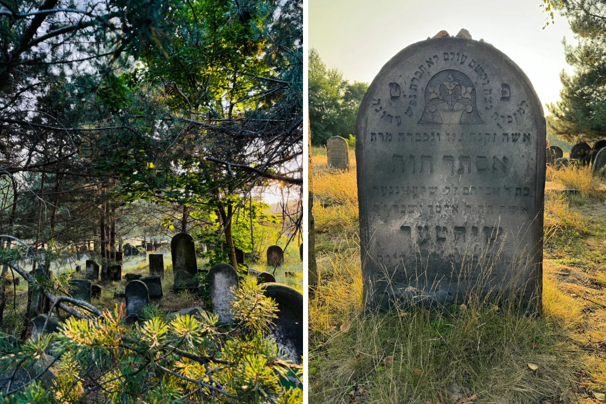 Otulony ciszą i spokojem cmentarz żydowski w Żarkach wygląda niezwykle, zwłaszcza o zachodzie słońca Otulony ciszą i spokojem cmentarz żydowski w Żarkach wygląda niezwykle, zwłaszcza o zachodzie słońca