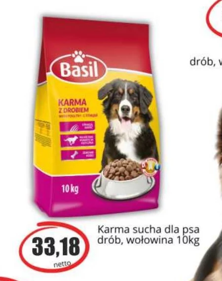 Karma dla psa Basil