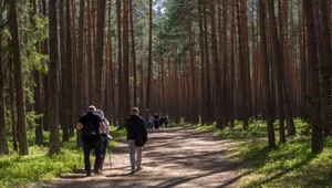 90 proc. Polaków chce, aby myśliwi przechodzili okresowe badania lekarskie pozwalające zachować pozwolenie na broń - mówi ministra klimatu Paulina Hennig-Kloska