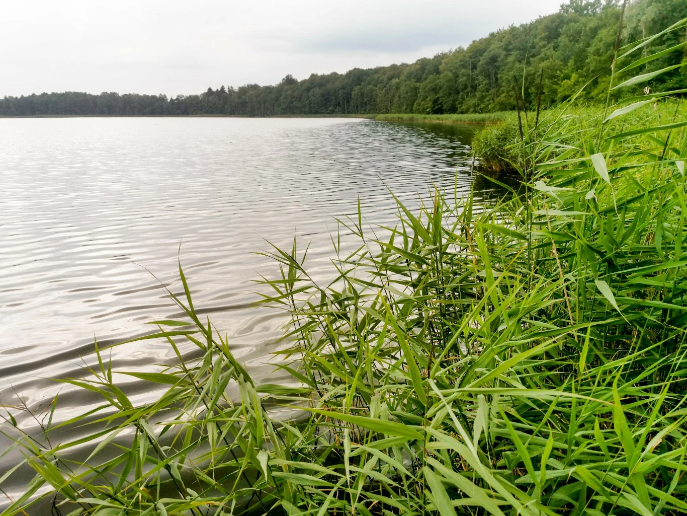 Spór o Jezioro Stacinko stał się tematem posiedzenia sejmowej komisji Spór o Jezioro Stacinko stał się tematem posiedzenia sejmowej komisji