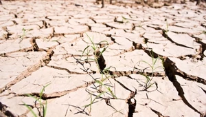 Sytuacja hydrologiczna w regionie Ostrołęki jest dramatyczna