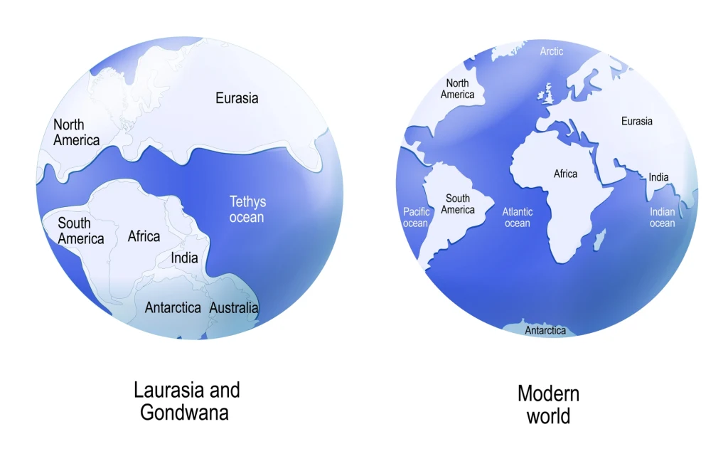 Gondwana i ruchy kontynentów Gondwana i ruchy kontynentów