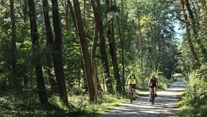 ​To najpiękniejszy szlak rowerowy w Polsce. Kilometry ścieżek wśród uroczych jezior