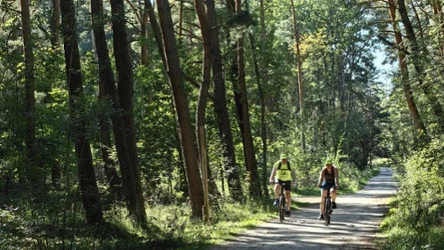 Kaszubska Marszruta to cztery szlaki liczące 165 km, pozwalające zobaczyć Kaszuby z inne strony. 