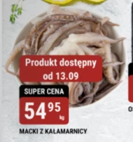 Macki kałamarnicy