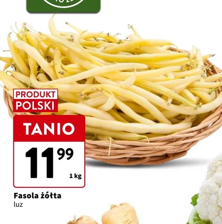 Fasolka żółta Polski