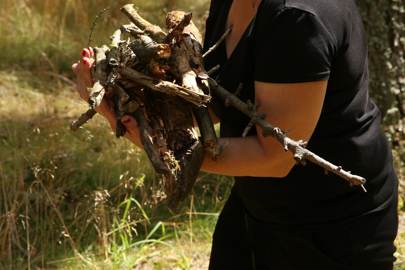 Nie tylko grzyby. W lesie można zbierać też opał. Jak to robić? Nie tylko grzyby. W lesie można zbierać też opał. Jak to robić?