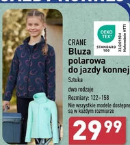 Bluza polarowa Crane