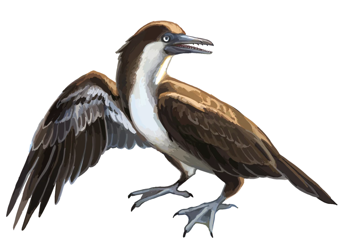 Yanornis - wczesnokredowy rybożerny ptak z Chin