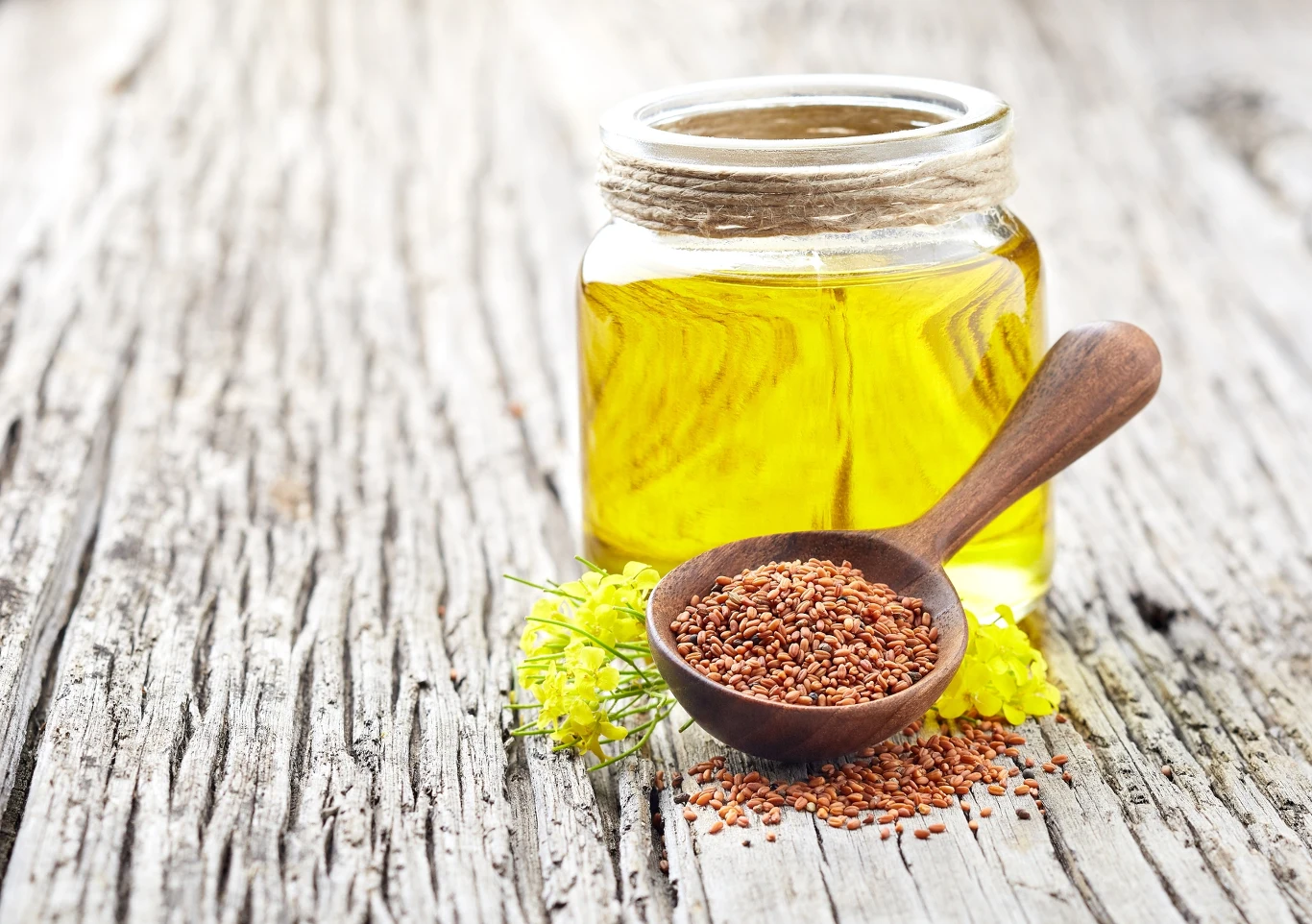 Zapomniany olej rydzowy to skarbnica cennych dla zdrowia właściwości. Wystarczy łyżeczka dziennie Zapomniany olej rydzowy to skarbnica cennych dla zdrowia właściwości. Wystarczy łyżeczka dziennie