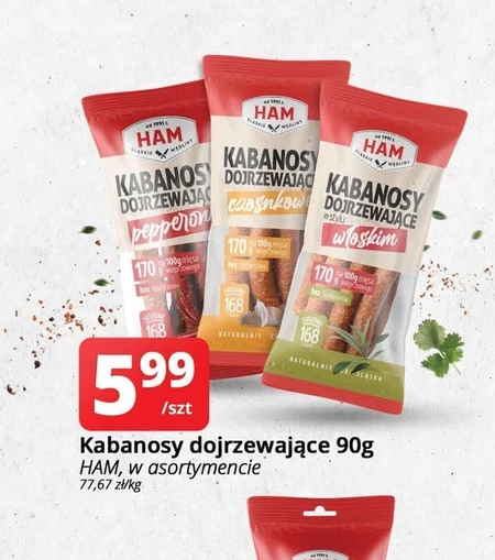 Кабаноси HAM