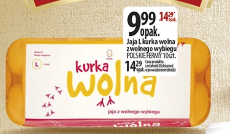 Яйця Kurka wolna