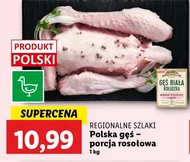 Gęś Regionalne Szlaki