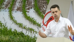 Dla wielu rolników ulewy mogą powodować ryzyko strat finansowych (zdj. ilustracyjne)