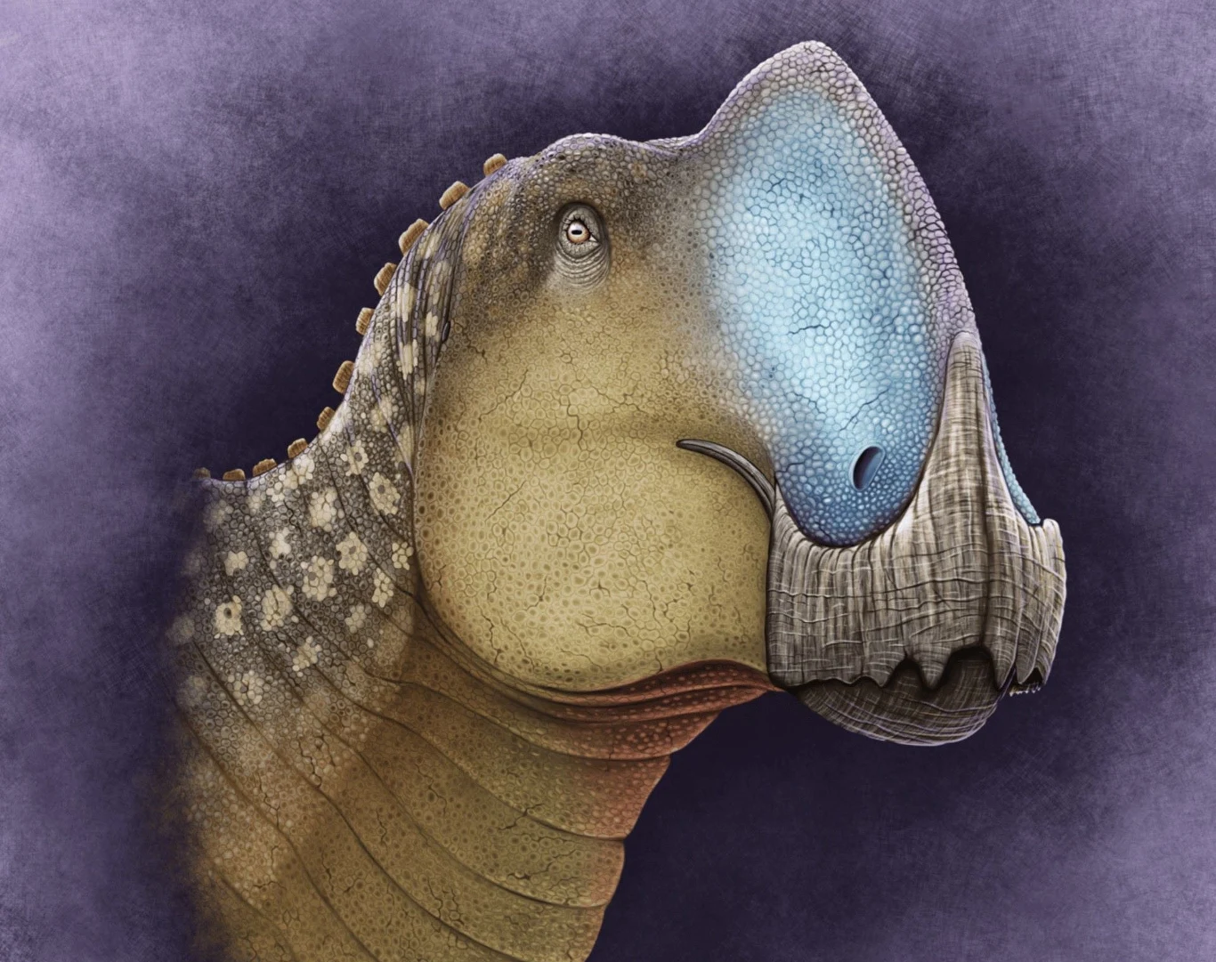 Głowa koahuilazaura musiała być dziwaczna. Miała wyraźny grzebień