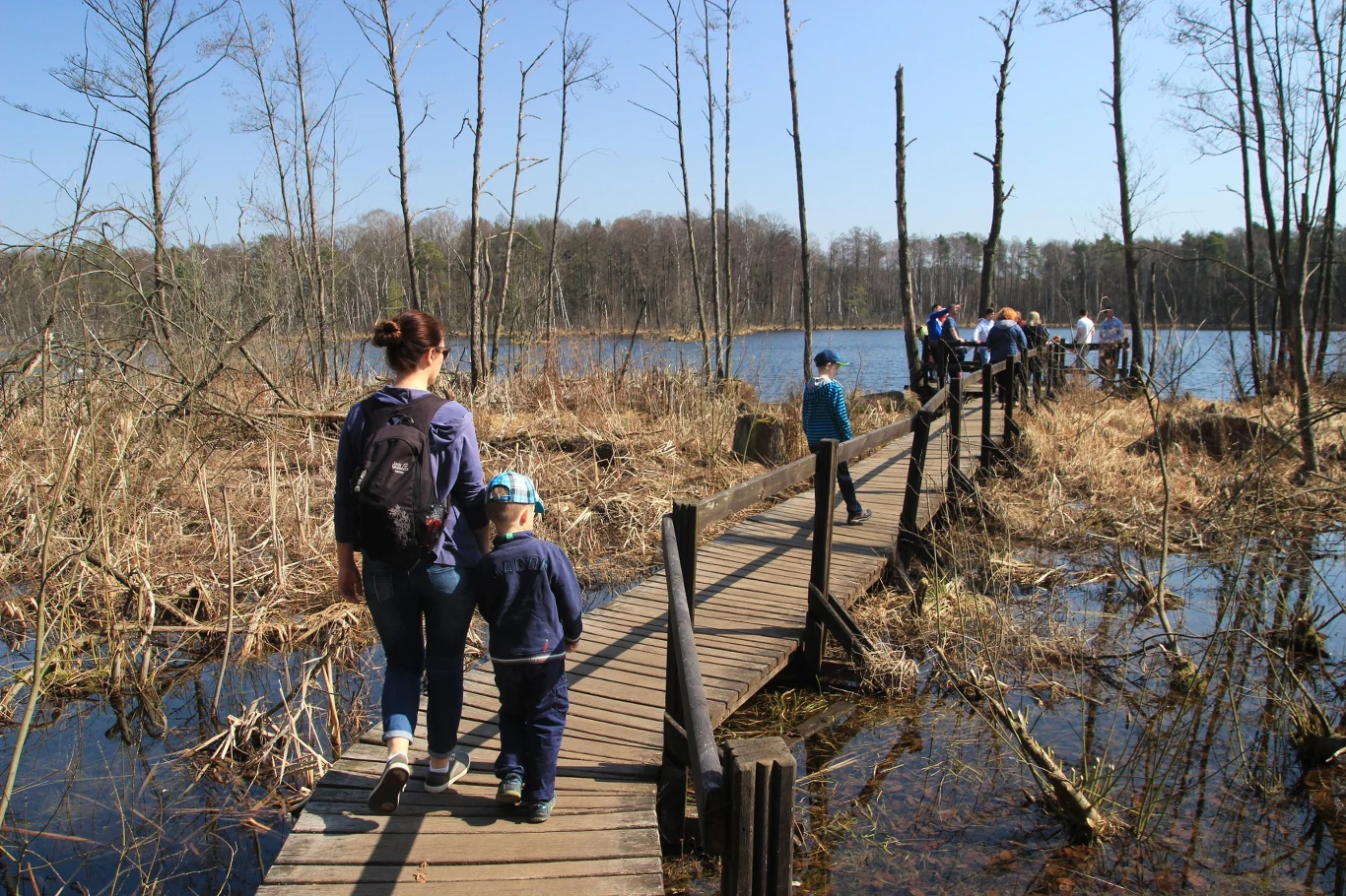 Gdzie warto wybrać się na jesienną wycieczkę niedaleko Warszawy? Ciekawą propozycją jest między innymi rezerwat przyrody "Na Torfach".