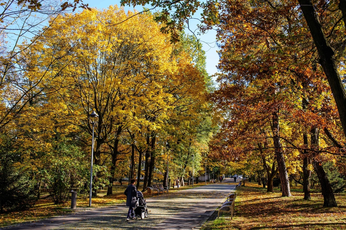 Park Zdrojowy w Konstancin-Jeziorna jesienią prezentuje się niezwykle malowniczo. Może być dobrym celem jednodniowej wycieczki poza Warszawę. 
