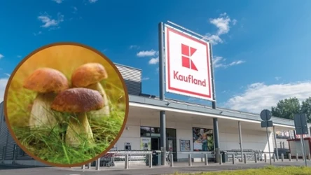 Oferta dla grzybiarzy w Kauflandzie 