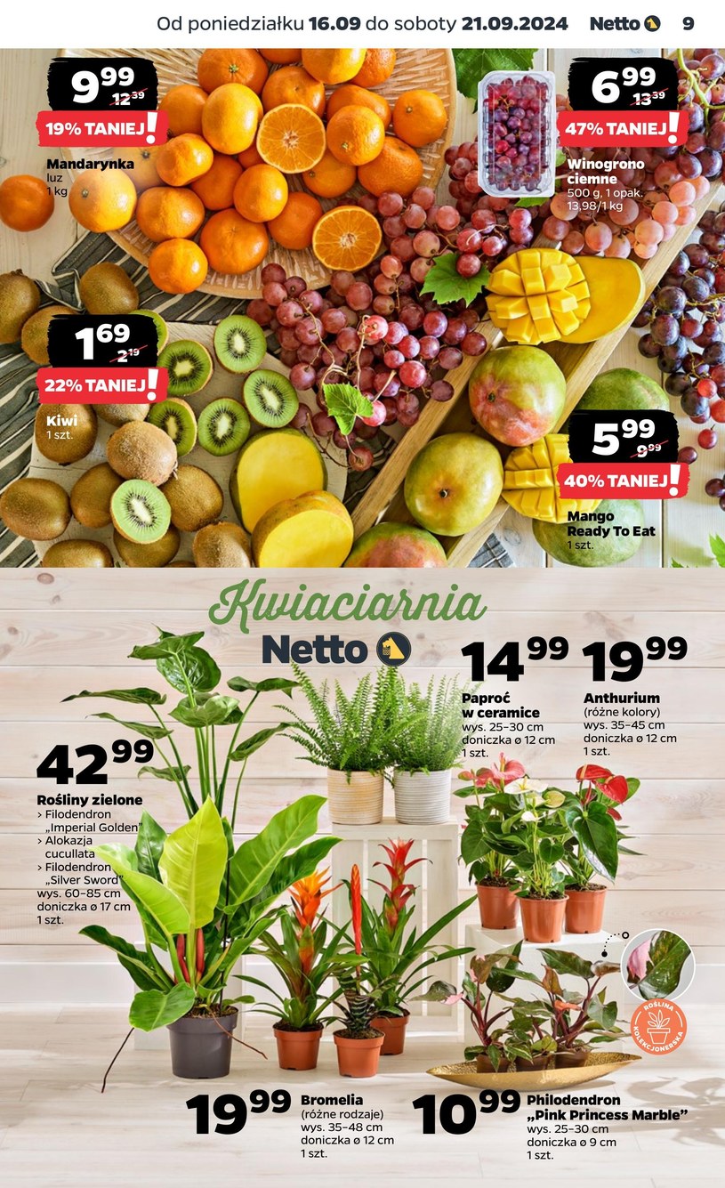 Gazetka: Gratisowe okazje w Netto!  - strona 9