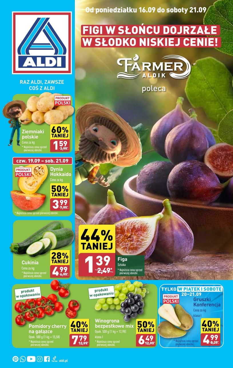 Gazetka: Farmer Aldik poleca! - Aldi - strona 1