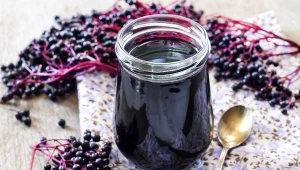 Owoce czarnego bzu są bogate w antyoksydanty, zawierają witaminę C i błonnik