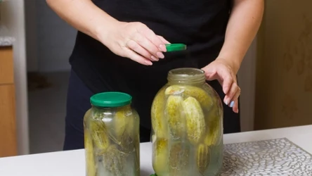 Co zrobić, żeby woda w ogórkach kiszonych nie była mętna, a ogórki gąbczaste?