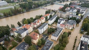 "Plotki, które nie powinny mieć miejsca". W Nysie wrze, władze mówią: dość