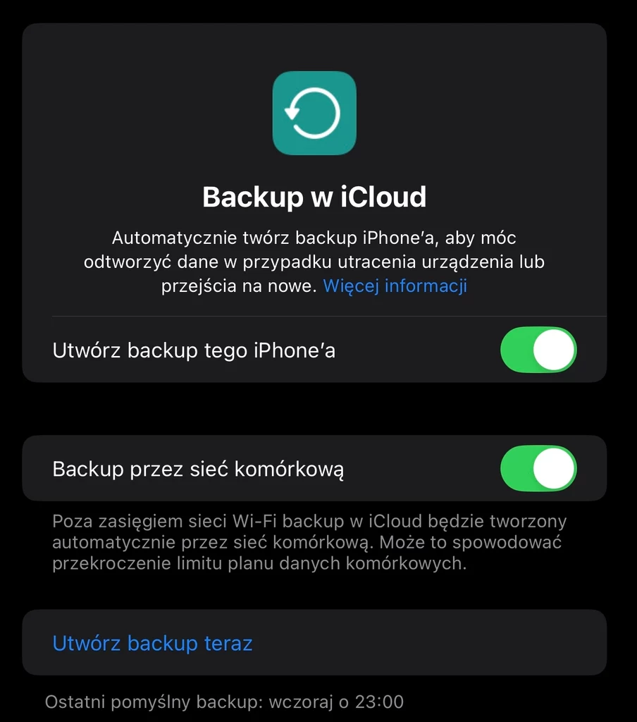 Przed instalacją iOS 18 warto zrobić backup.