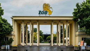 Wrocławskie ZOO zaapelowało o pomoc w walce przed zbliżającą się wodą