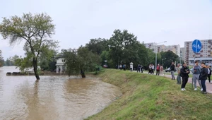 Chroni przed wielką wodą. Jak działa wał przeciwpowodziowy?