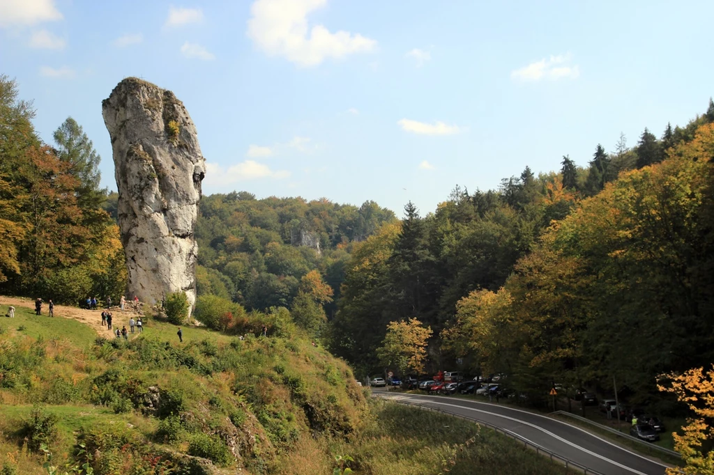 Co jest symbolem Ojcowskiego Parku Narodowego? To nietoperz - nie bez przyczyny