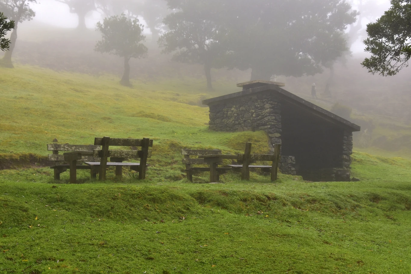 Las Fanal to doskonałe miejsce na piesze wędrówki, a także piknik. Czekają tu miejsca specjalnie do tego wyznaczone. 