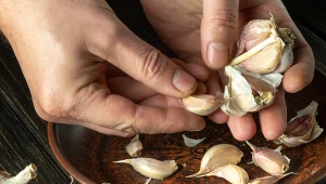 Czosnek w takiej ilości i formie najlepiej wspomaga odporność. Pomoże też na stres