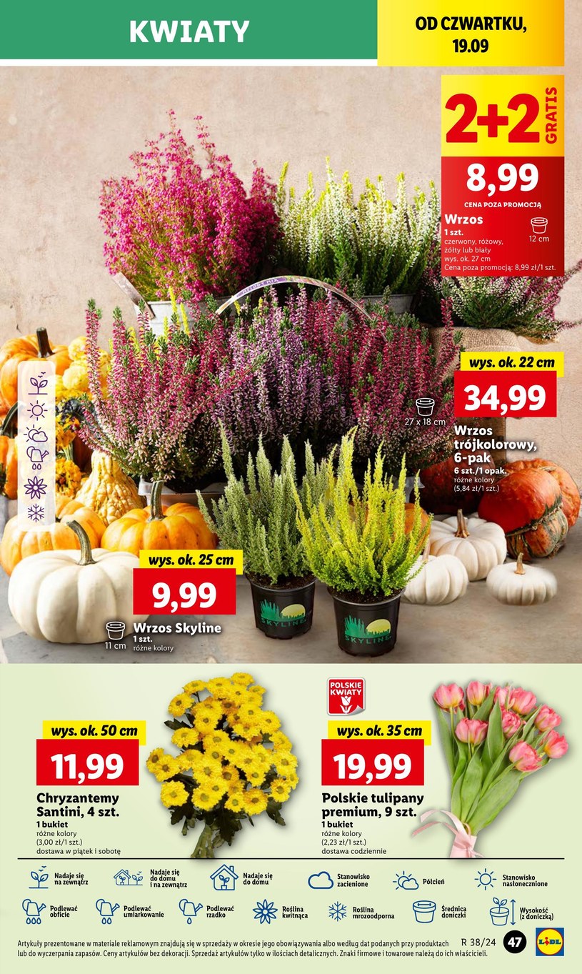 Gazetka: Wrześniowe super oferty - Lidl - strona 53