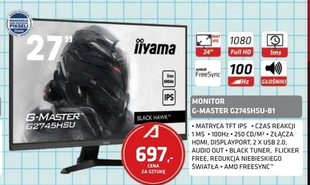 Monitor Iiyama