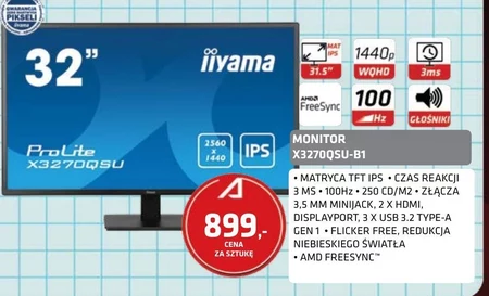 Monitor Iiyama